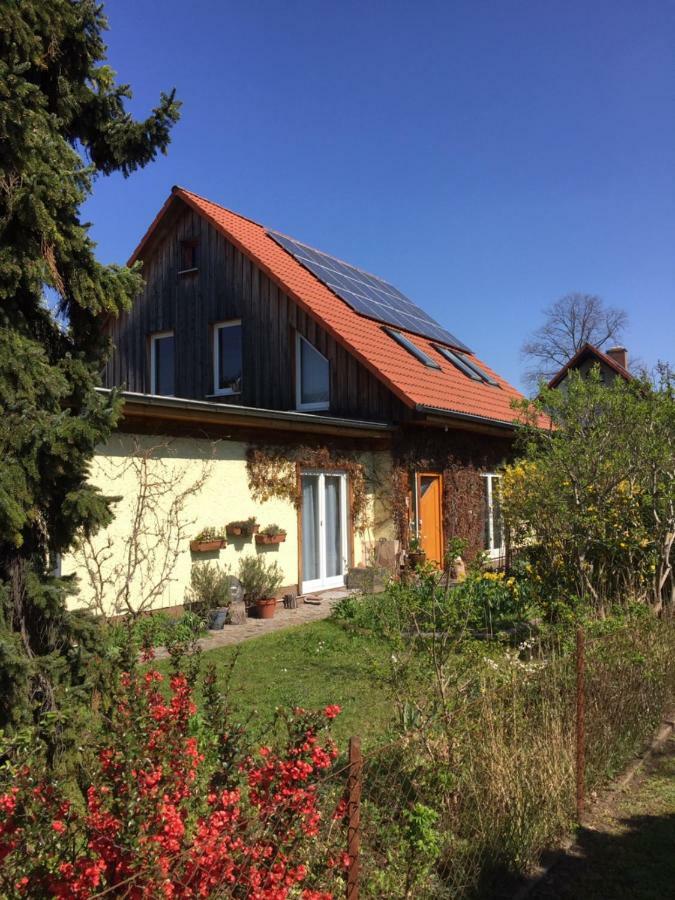 Nice Room In Green Pankow District برلين المظهر الخارجي الصورة